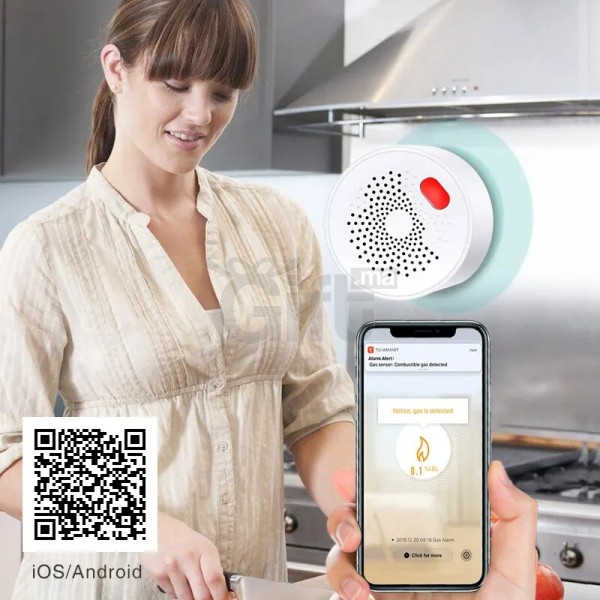 tuya-smart-home-wifi-natural-gas-sensor-combustible-household-smart-lpg-gas-leakage-alarm-detector-f_1 blank