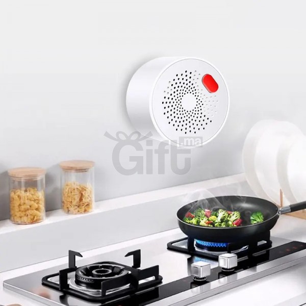 tuya-smart-home-wifi-natural-gas-sensor-combustible-household-smart-lpg-gas-leakage-alarm-detector-f_1_ blank