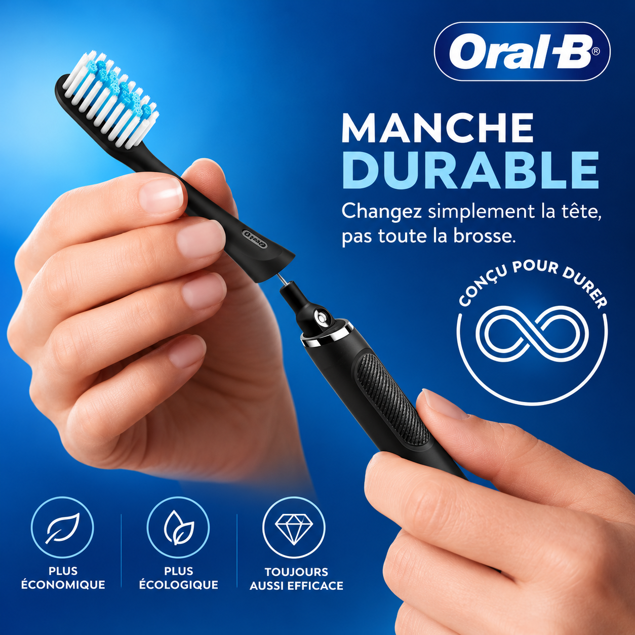 oracl_brosse_magnitique_4